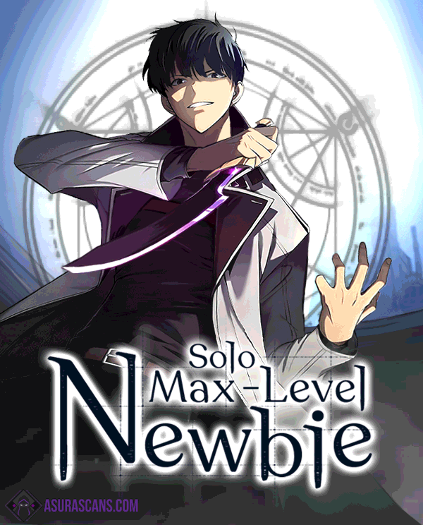 Capa de O Novato de Nível Máximo